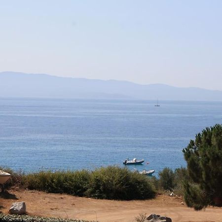 F2 Vue Mer Dans Residence Avec Piscine أجاكسيو المظهر الخارجي الصورة