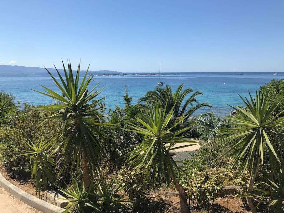 F2 Vue Mer Dans Residence Avec Piscine أجاكسيو المظهر الخارجي الصورة