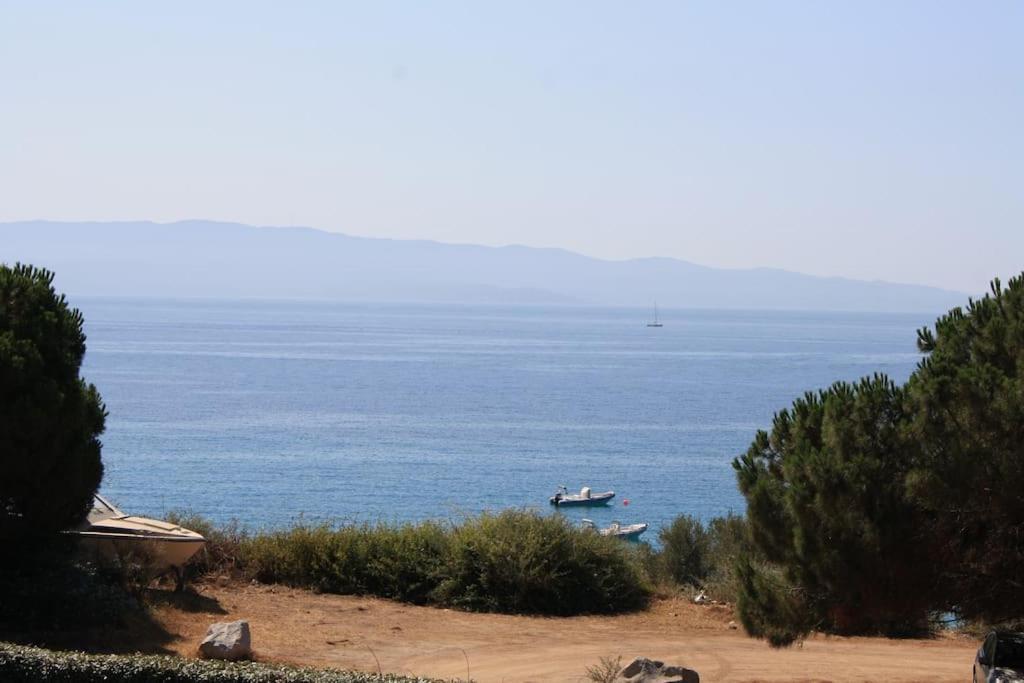 F2 Vue Mer Dans Residence Avec Piscine أجاكسيو المظهر الخارجي الصورة