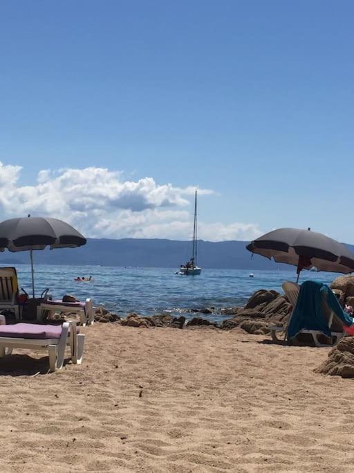 F2 Vue Mer Dans Residence Avec Piscine أجاكسيو المظهر الخارجي الصورة